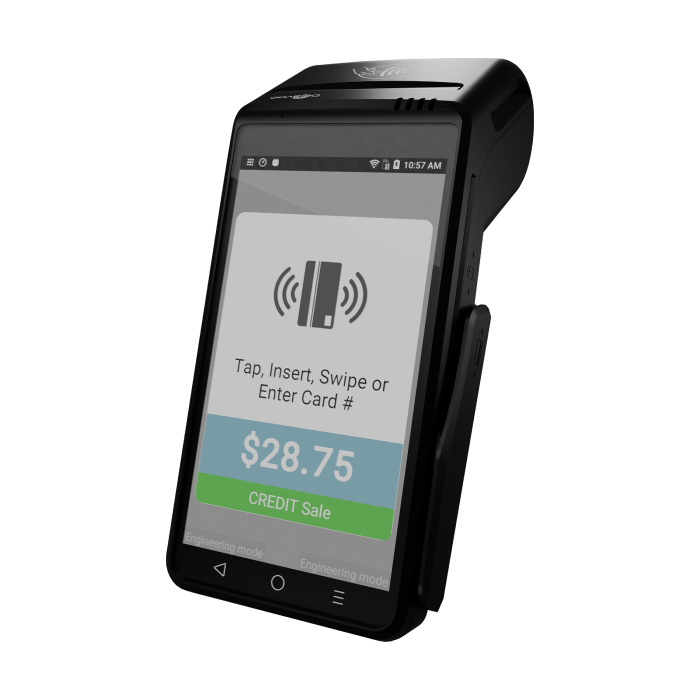 Dejavoo payment device